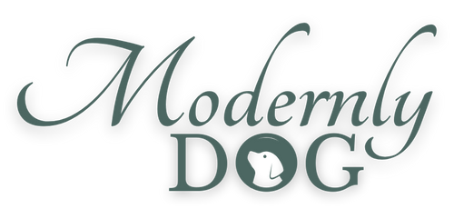 ModernlyDog