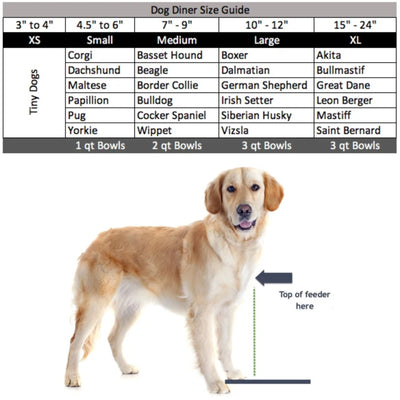 Raindrop XS Triple Bowl Dog Diner